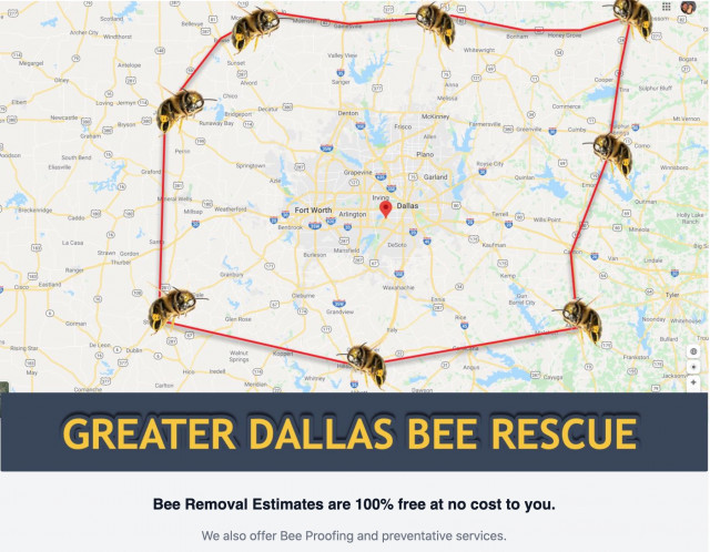bee-service-area-YS7vhnbVZZ.jpg